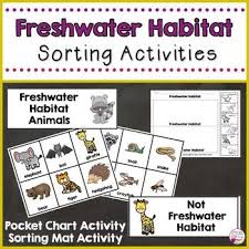 Freshwater Habitat Animals Sorting Activities Sorting