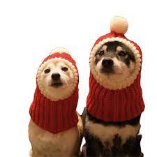 Nacoco Christmas Dog Hat Crocheted Snood Funny Pet Cap With Pompon Red Green Warm Winter Dog Hat Knit Snood Headwe Christmas Dog Hat Crochet Dog Hat Dog Beanie