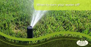 Lawn Care When To Turn Your Water Off