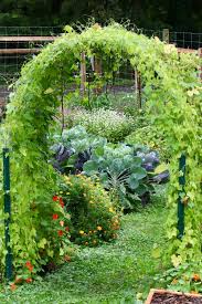 A garden shed, pergola, or trellis might offer inspiration. Diy Cattle Panel Garden Arbor Seed To Fork Blog By Meg Cowden