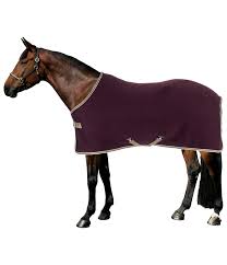 An amigo is more than just a scooter. Amigo Jersey Cooler Horseware Pferdedecken Kramer Pferdesport