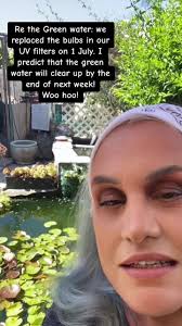 Lily Pad in Pond Tractor Removal