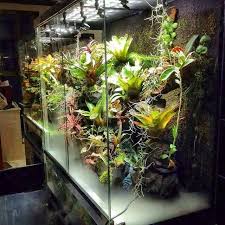 Pin By Brett Mcauliffe On Orchids Garden Terrarium Fish Tank Terrarium Vivarium