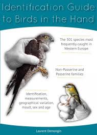 identification guide to birds in the hand