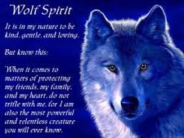 Not So Wild Animals Wolves Are So Loving And Mate For Life And Are Not The Mean Prey Movies Make Them Ou Wolf Spirit Animal Wolf Spirit Native American Quotes