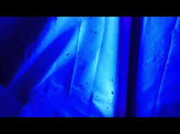 Black Light Bug Catcher Youtube
