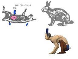 Shop for hybrid animals wall art from the world's greatest living artists. Japanese Illustrator Shows How Humans Would Look If We Had Various Animals Bone Structures 14 Pics Bored Panda