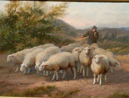 Pin On Sheep