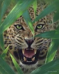 Jaguar adalah hewan sejenis kucing besar yang tergolong dalam genus panthera. Hewan Buas