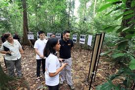 This year, roots & shoots malaysia is proud to have yayasan hasanah as its community partner for their support in the creation of the very first roots & shoots malaysia award. The Award Rasma Roots Shoots Malaysia Award