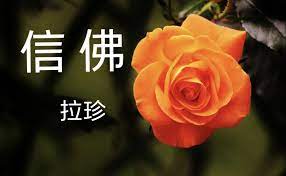 pin by nancy chin on 义云高 history of buddhism flowers plants