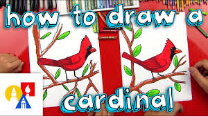 May 27, 2021 · it begins on the winter solstice and ends on the vernal equinox. How To Draw A Cardinal Youtube
