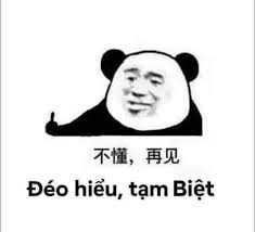 240 Meme ý tưởng | meme, hài hước, ảnh vui