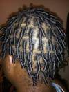 Man Twisted Locks