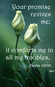Pin By Coco On Tehillim Book Of Praises Psalms Biblical Inspiration Inspirational Verses Biblical Quotes