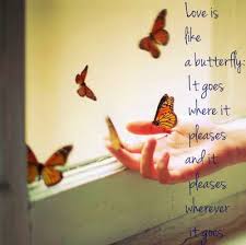 Cute Butterfly Quotes About Life Butterfly Pictures Butterfly Love Quotes Butterfly Quotes Go For It Quotes