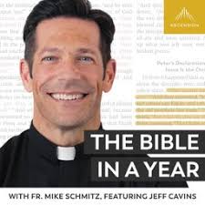 Day 195: Tobias and Sarah Pray (2024) by The Bible in a Year (with Fr. Mike  Schmitz)