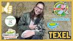 IK BEZOCHT DE BESTE PLEKKEN OP TEXEL DIE JE NIET ... - YouTube