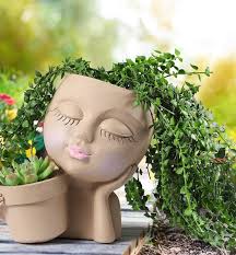 Tricycle purchase for Christmas gift