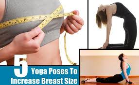 Pin On Yoga
