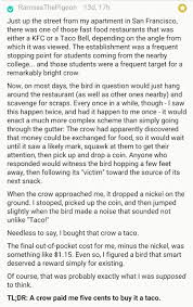 A Crow Paid Him For A Taco Geeky Humor Fast Food Restaurant Tacos