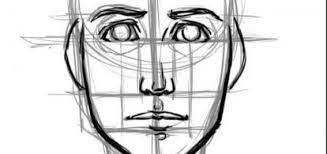 How To Draw A Face Basic Proportions Realistic Drawings Drawing Face Expressions Human Face Drawing