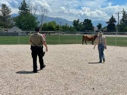 Deputy Creamer tried his...