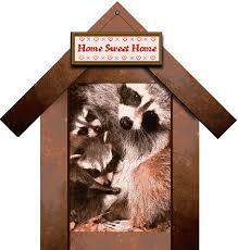 Poems about raccoons at the world's largest poetry site. Raccoons In Attic Or Under Porch Help From The Gable S Raccoon World