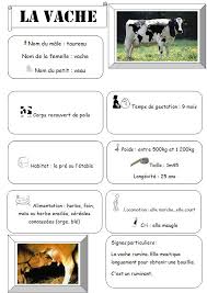 La Vache 5 Carte D Identite Vache Carte