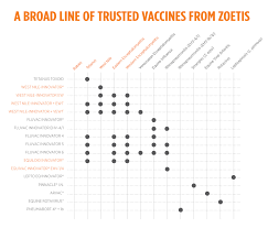 Horse Vaccine Chart Www Bedowntowndaytona Com