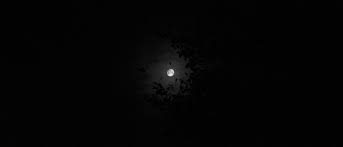We hope you enjoy our growing collection of hd images to use as a background or home screen for your please contact us if you want to publish a moon night sky wallpaper on our site. Moon Night Sky Wallpapers Hd Desktop And Mobile Backgrounds