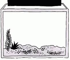 Hello dear friend colouring mermaid, terbaru aquarium fish tank coloring page is one image that is quite famous for a long time. Aquarium Coloring Page Colouring Pages Coloring Pictures Coloring Pages