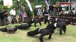 See more of seragam sakral psht on facebook. Presiden Jokowi Jadi Pendekar Silat By Semeton News