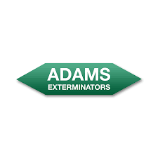 Contact us for more information or a. Adams Exterminators Home Facebook