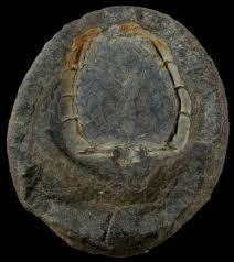 Image result for monika babi%u0161ov 