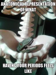 What Having Your Period Feels Like Laugh Period Humor Humor