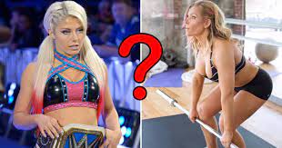 Wwe divas fake