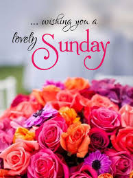 ♱♱ good morning to you, be blessed and may good things happen to you, wish you a wonderful unforgettable sunday. Pin By Devendra Soni On Morning Images Happy Sunday Flowers Good Morning Sunday Images Happy Sunday Morning