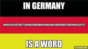Deutsche memes und reaction images. 29 Memes Die Du Nur Verstehst Wenn Du So Richtig Deutsch Bist