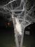 Diy Giant Spider Web Decoration