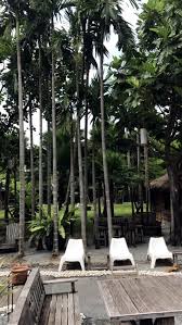 844 hotelliarvostelua, 742 matkailijan valokuvaa ja huipputarjouksia majoituspaikasta paragon inn, joka on sijalla 398/1 420 (hotellit) bangkokissa ja sijalla 4/5. Paragon Inn Hotel The Boho Guide