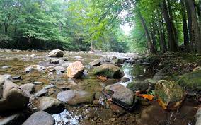 Maybe you would like to learn more about one of these? Camping At Black Mountain Campground North Carolina Campfiredelight Com