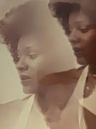 Memories of Dr. Theresa "Terri" Marie Brewer-Cook