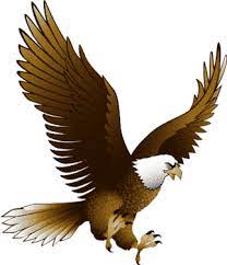 Eagle Png 25 Image Vector Eps Free Download Logo Icons Clipart Aguila Real Dibujo Aves Volando Aguilas Animadas