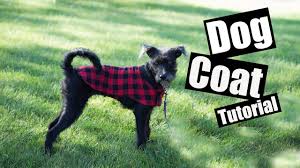 I'm mimi, i love to design and sew clothes for my dog tara, she loves wear pink and girly clothes! Dog Coat Sewing Tutorial With Free Pdf Youtube
