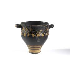 Image result for Dignathia