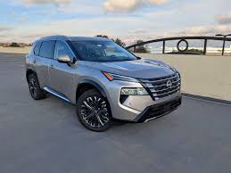 Image result for rogue