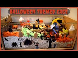 For pet hamsters, commercially available pens are made of wire or plastic. Decorating My Hamster S Cage For Halloween Cosmic Hamsters Youtube