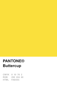 We did not find results for: 200 Zuto Lemon Zest Buttercup Ideas Lemon Zest Buttercup Zest