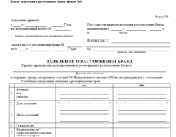 Mogu Li Ya Sama Podat Dokumenty I Zayavlenie Na Registraciyu Braka Vashi Prava